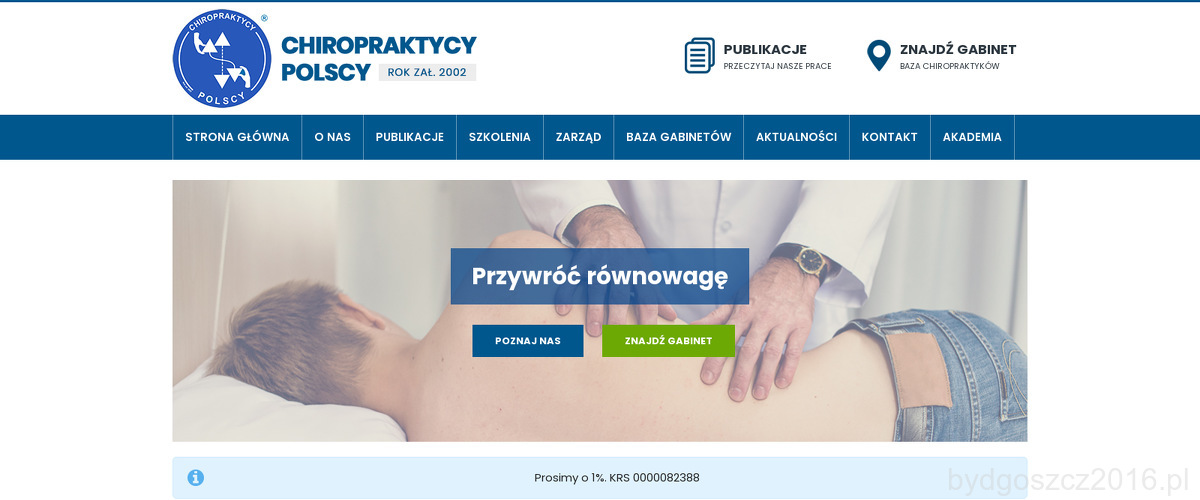 chiropraktycy-polscy