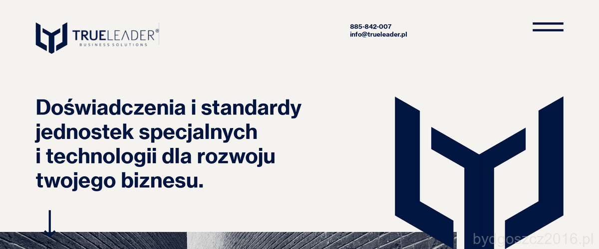 true-leader-wojciech-wereszko